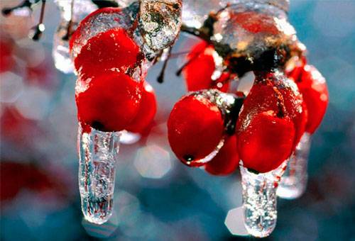 Eau de nettoyage avec du sorbier