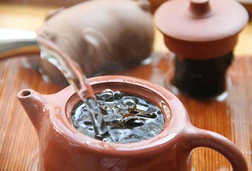 Préparer du thé à l'épilobe