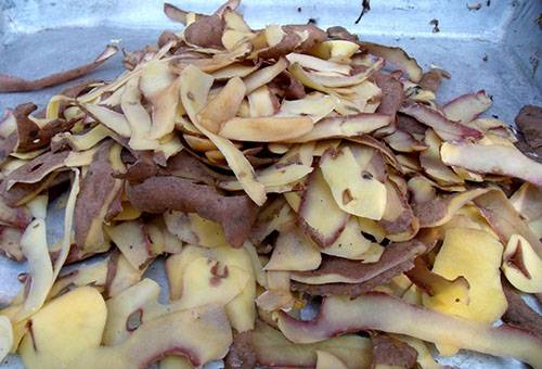 Épluchures de pommes de terre