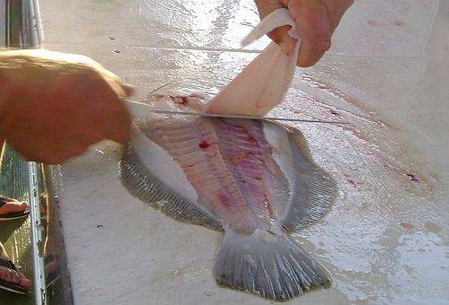 section de filet de poisson