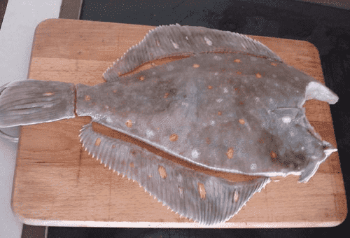 étape de coupe des nageoires de poisson