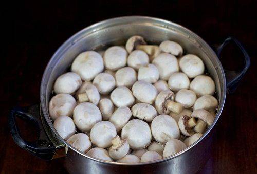 champignons dans l'eau
