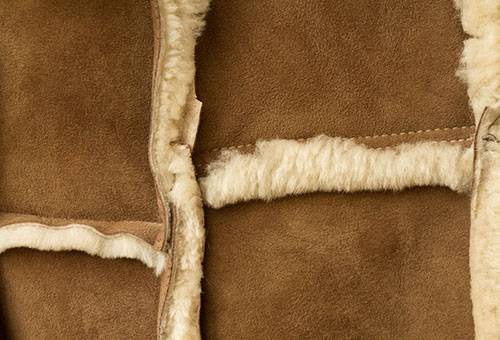 Texture du manteau en peau de mouton