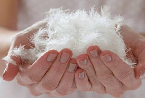 Pur duvet pour oreiller