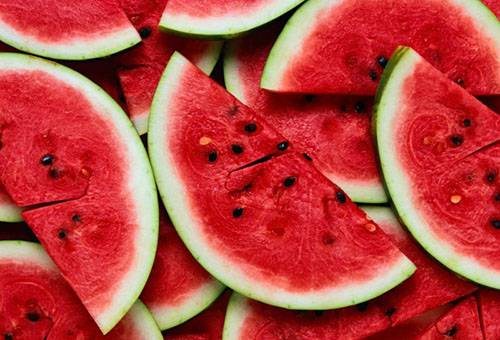 Tranches de pastèque