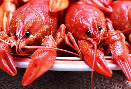 Écrevisses cuites