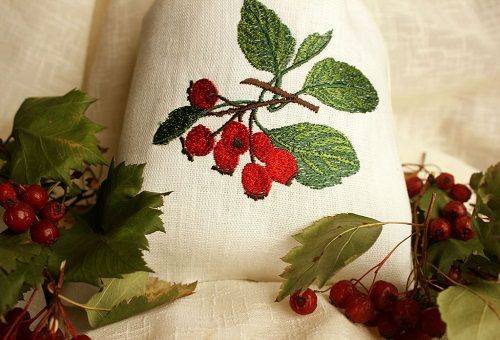 aubépine séchée dans un sac