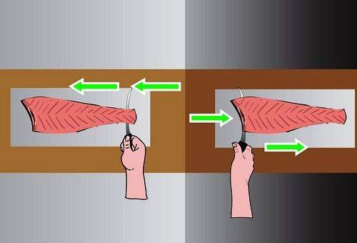 filet de poisson-chat prêt