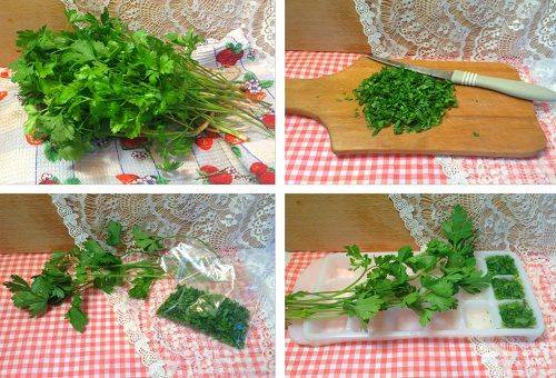 façon de conserver le persil 1