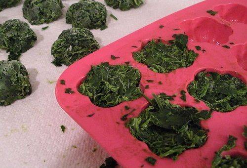 cubes de persil surgelés