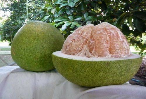 pomelo aux fruits exotiques