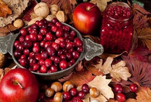 Conserver la viorne fraîche