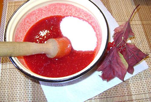 Frotter la viorne avec du sucre