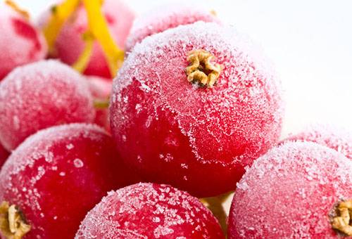 Canneberges surgelées