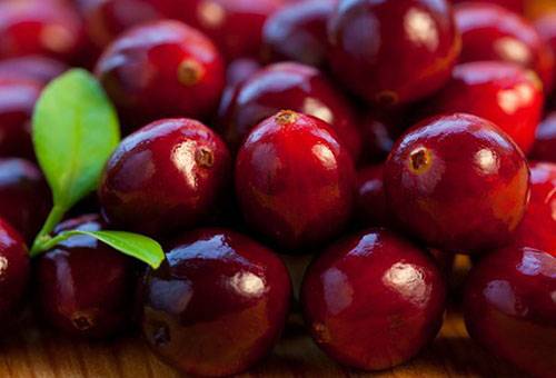 Canneberges fraîches