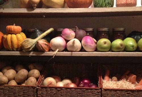 Conserver les radis au sous-sol