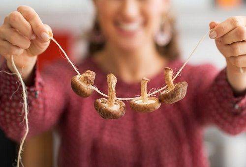 champignons séchés