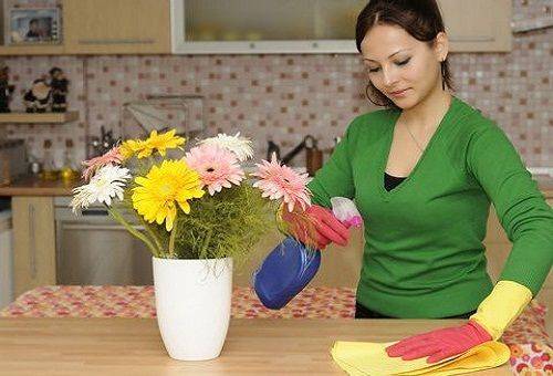 fille essuie la poussière