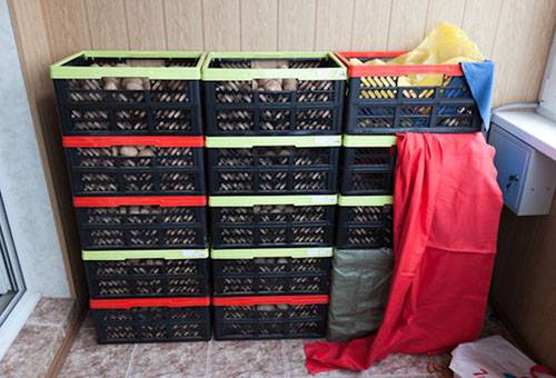 Conserver les pommes de terre dans des boîtes en plastique