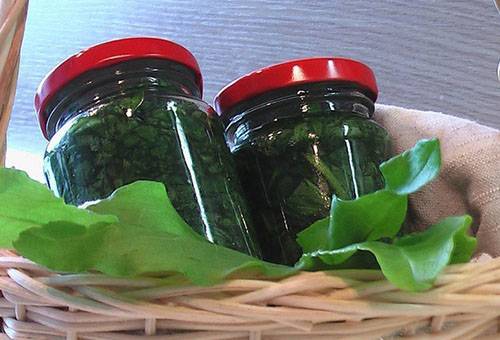 Oseille en conserve en bocaux