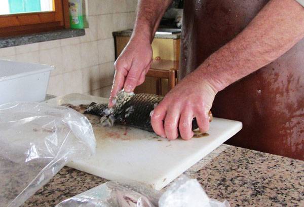 Nettoyage des carpes