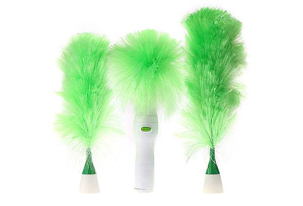 Types de brosses à poussière