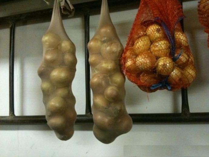 Oignons en bas nylon