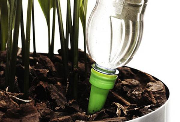 Arroser goutte à goutte une plante dans un pot