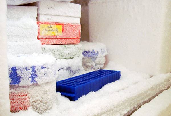 Glace au réfrigérateur