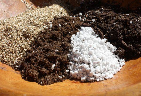 Mélange de minéraux terrestres pour plantes