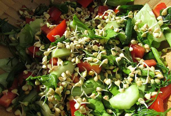 Salade de sarrasin vert