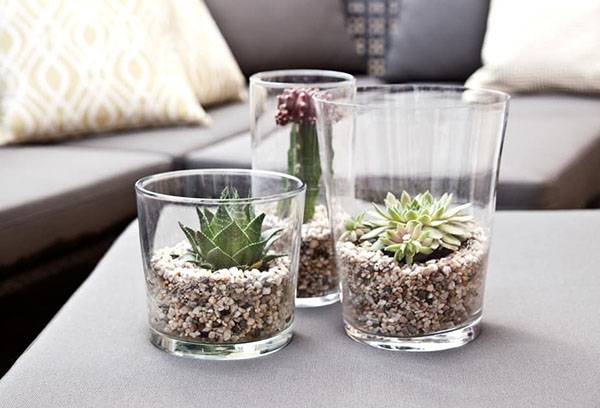 Déco intérieure avec des plantes grasses