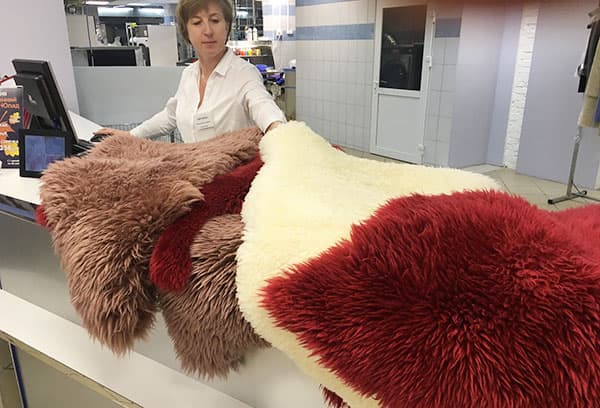 Teinture de fourrure au pressing