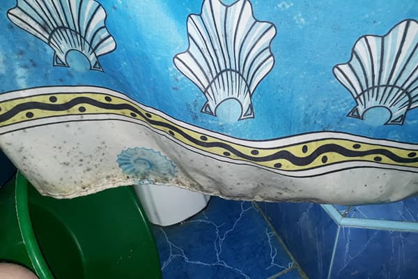 Moisissure sur le rideau de la salle de bain