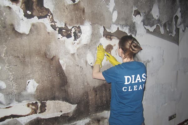 Employé de nettoyage nettoyant après un incendie