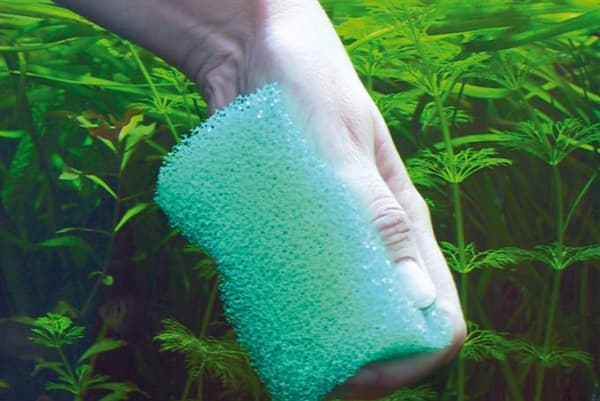Nettoyer les parois de l'aquarium avec une éponge