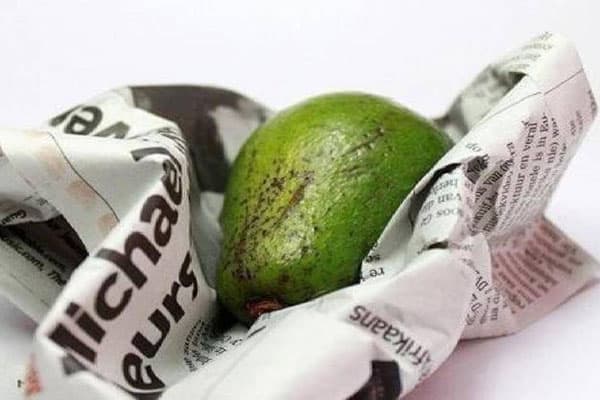 L'avocat dans le journal