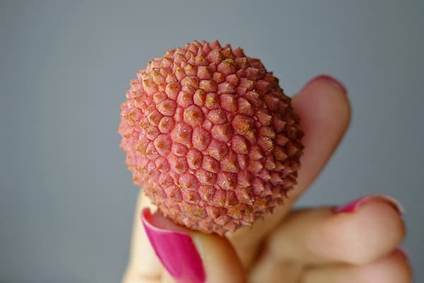 Fruit de litchi