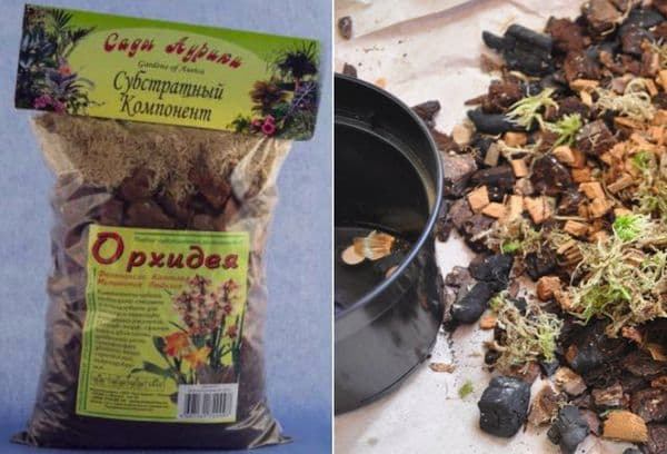 Terreau pour orchidées