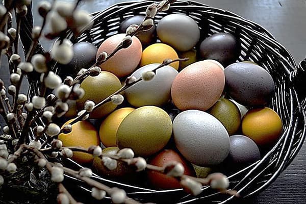 Oeufs colorés avec des colorants naturels