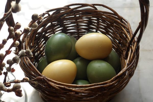 Oeufs teints aux épinards