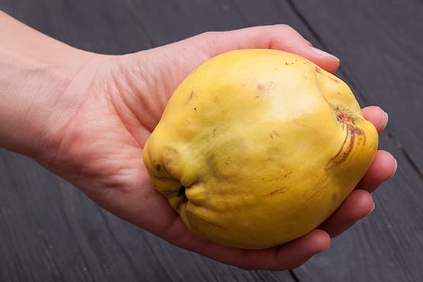 Femme tenant des fruits de coing