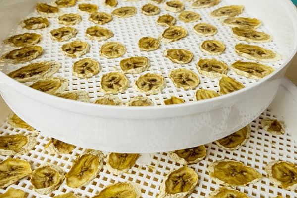 Chips de banane dans un séchoir électrique
