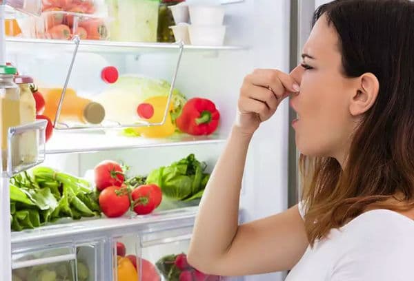 Sentir au réfrigérateur