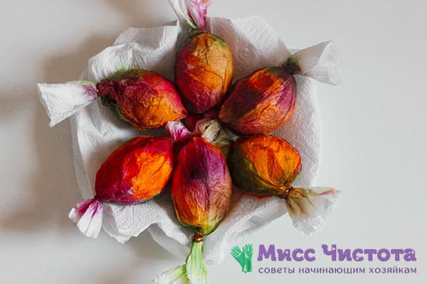 Oeufs enveloppés dans des serviettes et colorés