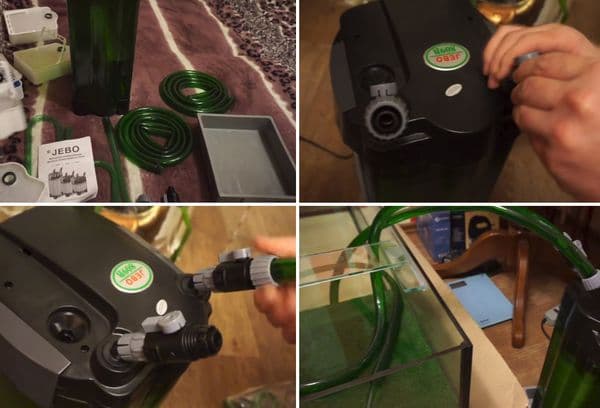 Installer un filtre dans un aquarium