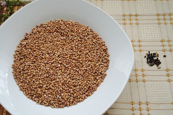 Sarrasin et déchets sélectionnés à partir de celui-ci