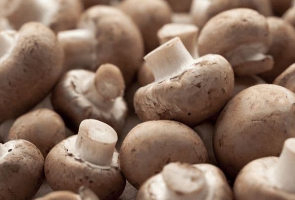 champignons frais