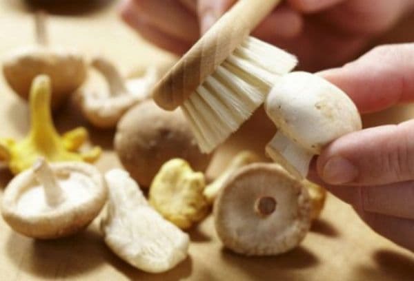 badigeonner les champignons