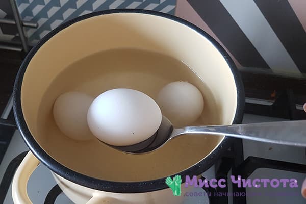 Oeufs de poule bouillis